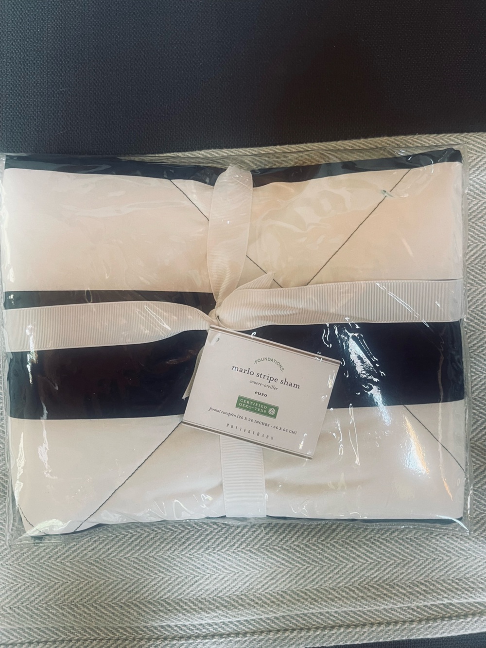 Pottery Barn nautical Striped Euro pillow sham . NWT
